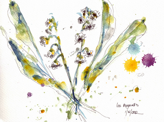May 1 2012 Categories aquarelle art drawing flowers france garden 